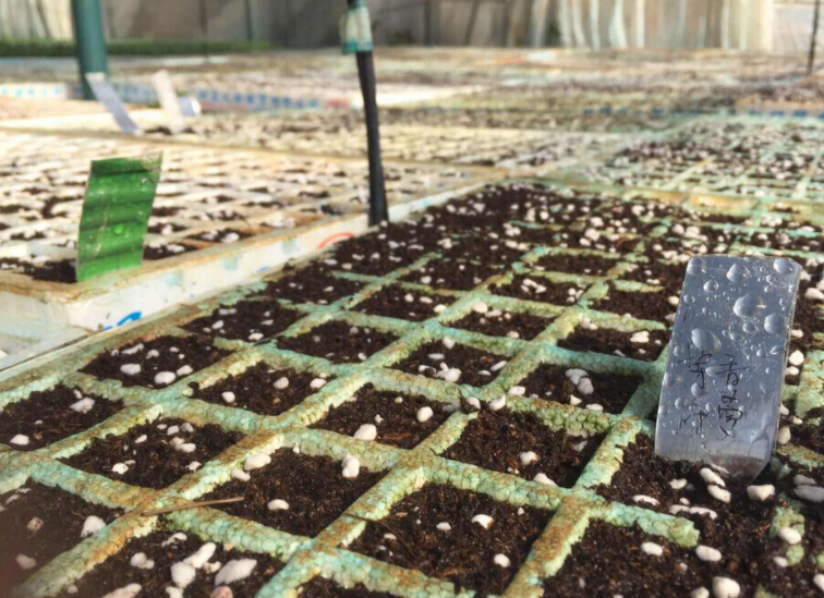 土壤氧化還原電位測(cè)定儀：解讀適用范圍與土壤類(lèi)型